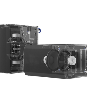 LD Systems LDS-LDMAILASUB | Dual 15in Powered Bandpass Subwoofer | 2500W Class D with DSP & Cardioid Presets