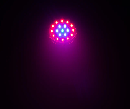 Eliminator Mega Par Z Wash | 19x15W RGBW LEDs + Zoom | 10°–60° Beam with Circle Control