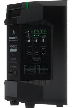 Mackie Thump GO | 8in - 115dB Battery Speaker | Bluetooth Streaming & 2-Channel Mixer