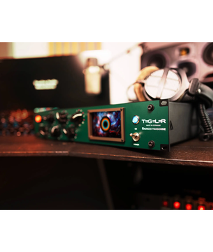 Tegeler Raumzeitmaschine | Tube Reverb with Servo Control | True Stereo Hardware Reverb for DAW Integration