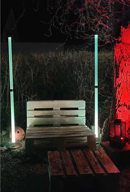 19620