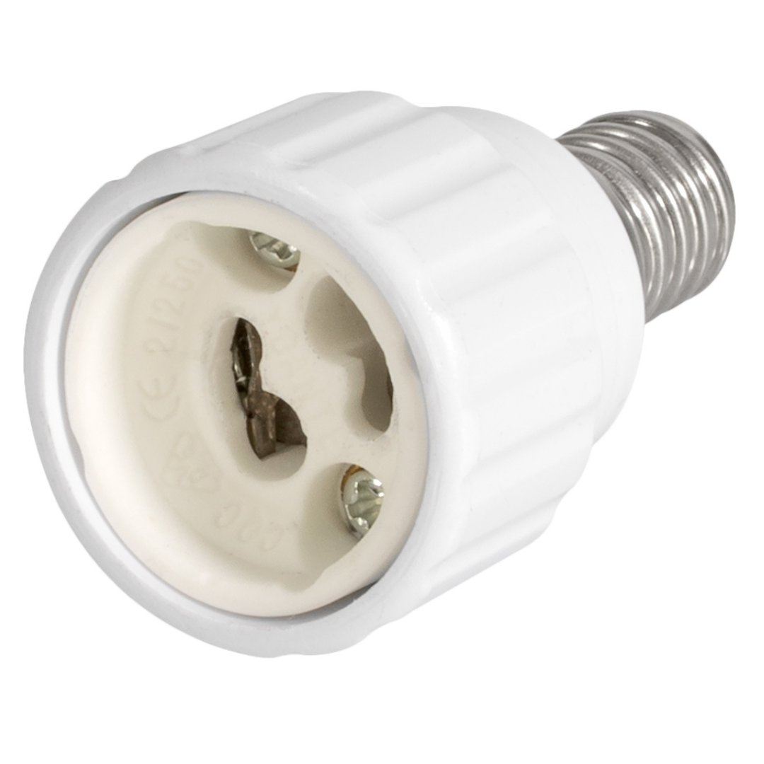 23924