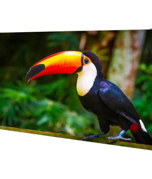 American DJ WMS1 | 1.95mm High Resolution LED Panel | 700 NITS Indoor Video Display