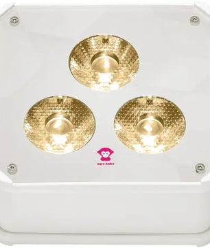 Ape Labs Maxi 2+ Creme Solo | IP65 RGBaW Smart Battery Uplight (ID: 7993)