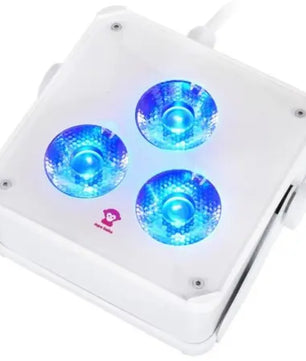 Ape Labs Maxi INS 2+ Solo Creme | IP65 RGBaW Smart PAR Light (ID: 8006)