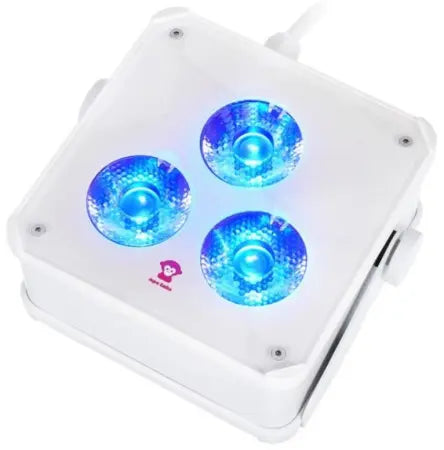 Ape Labs Maxi INS 2+ Solo Creme | IP65 RGBaW Smart PAR Light (ID: 8006)