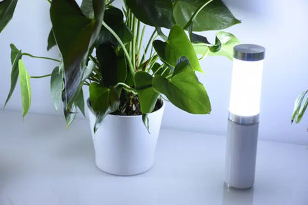 Ape Labs Table Light 2.0 | Solo