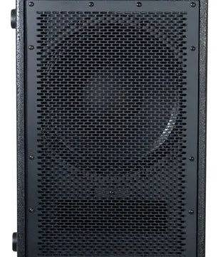Peavey PVs 12 Sub