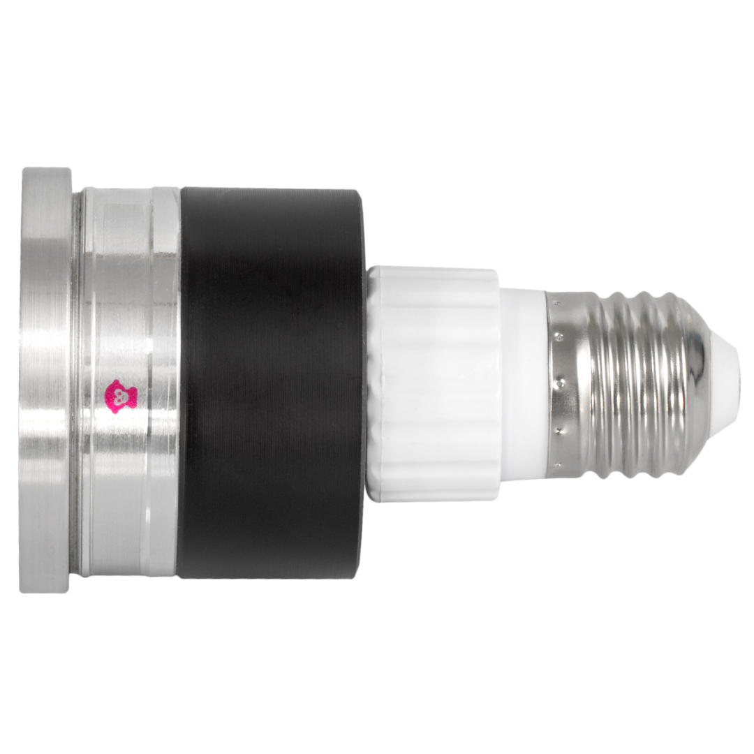 23933